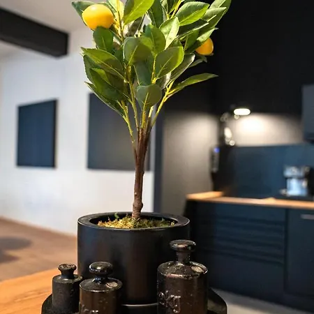 Designloft - Heimkino - Parkplatz - Luxus Pur - Zentral - 200 Quadratmeter Apartamento *